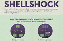 infografikaBushBug